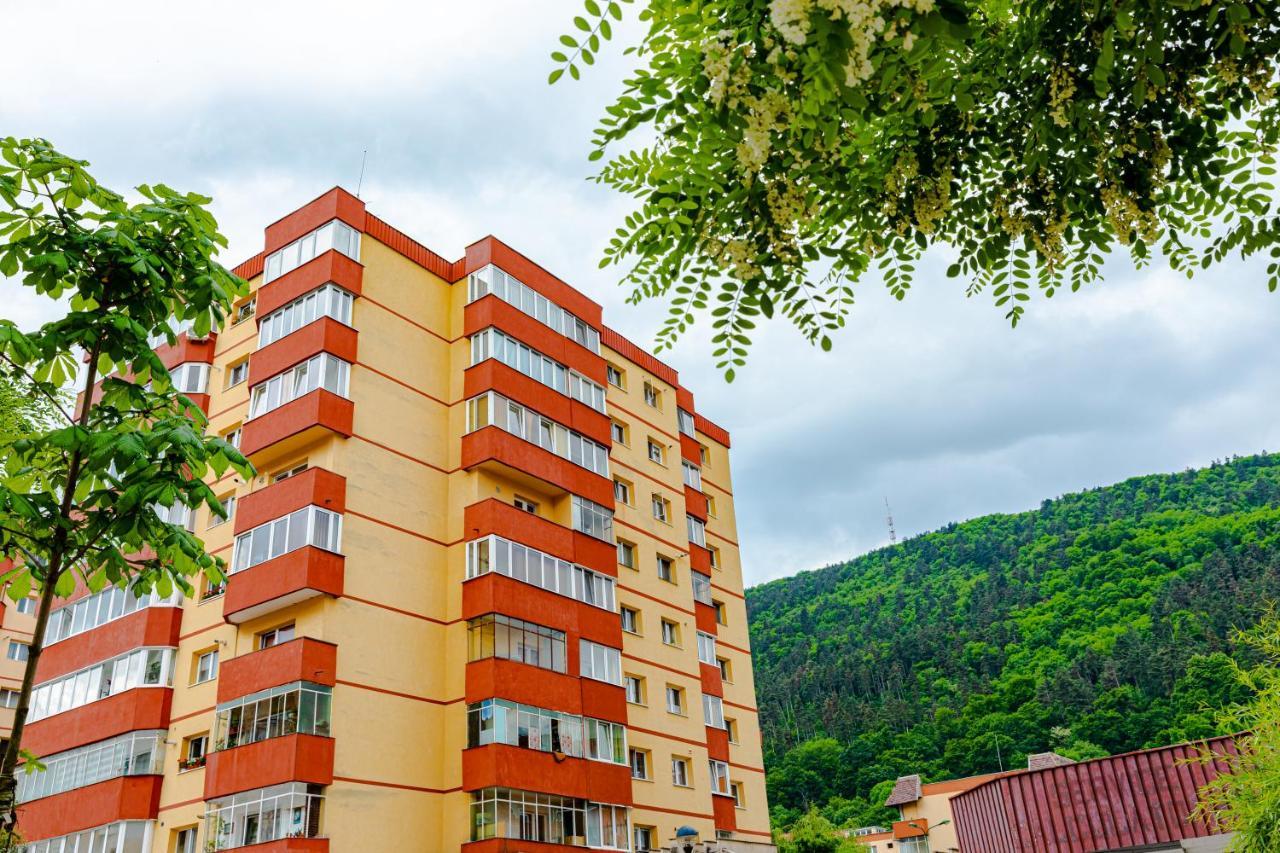 Apartment Mid-term Racadau Brasov